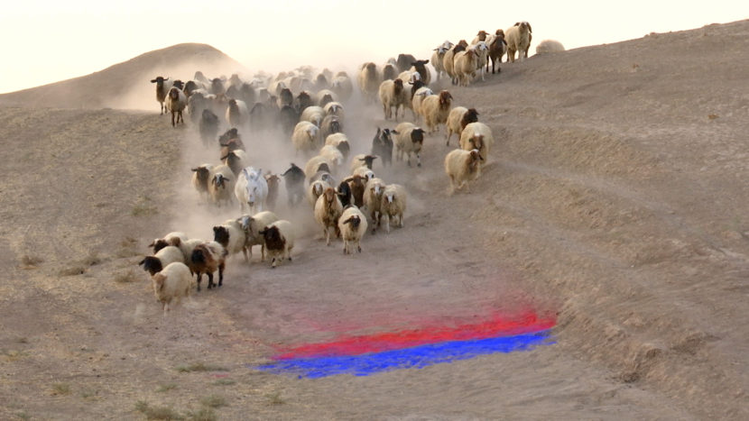 Francis Alÿs entrevista Sandlines